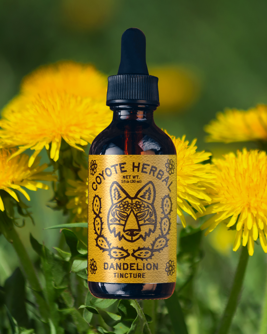 Plant Medicine from Coyote Herbal